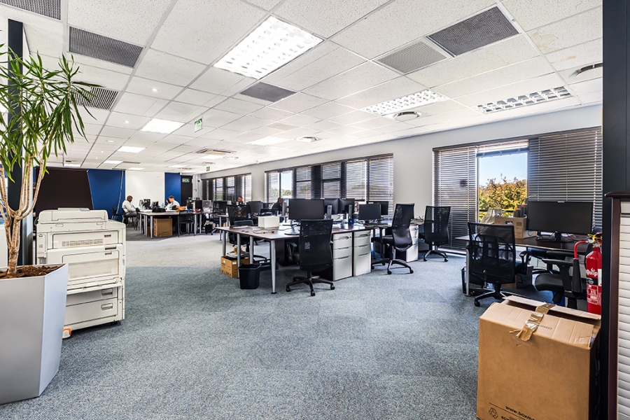 To Let commercial Property for Rent in Newlands Western Cape